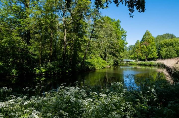 Foto 4 van Derkinderenstraat 67-1