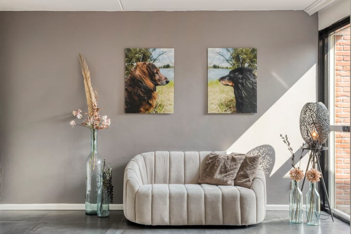 Foto 6 van Leonard Springerlaan 252