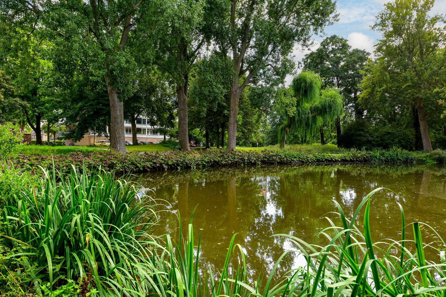 Foto 19 van Engelandlaan 158