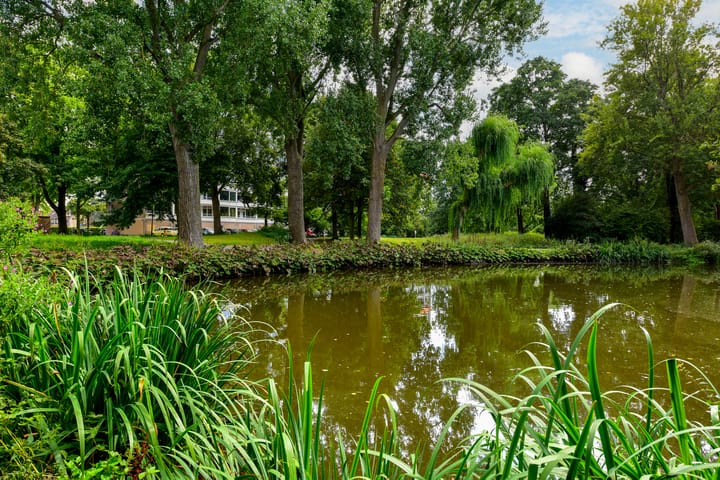 Foto 19 van Engelandlaan 158