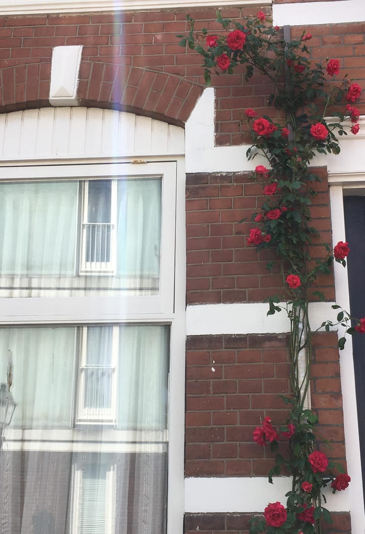 Foto 26 van Haringstraat 37