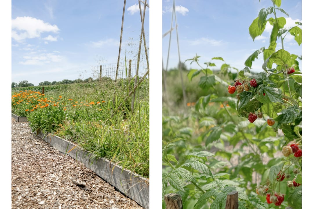 Photo 67 of Meeleweg 7