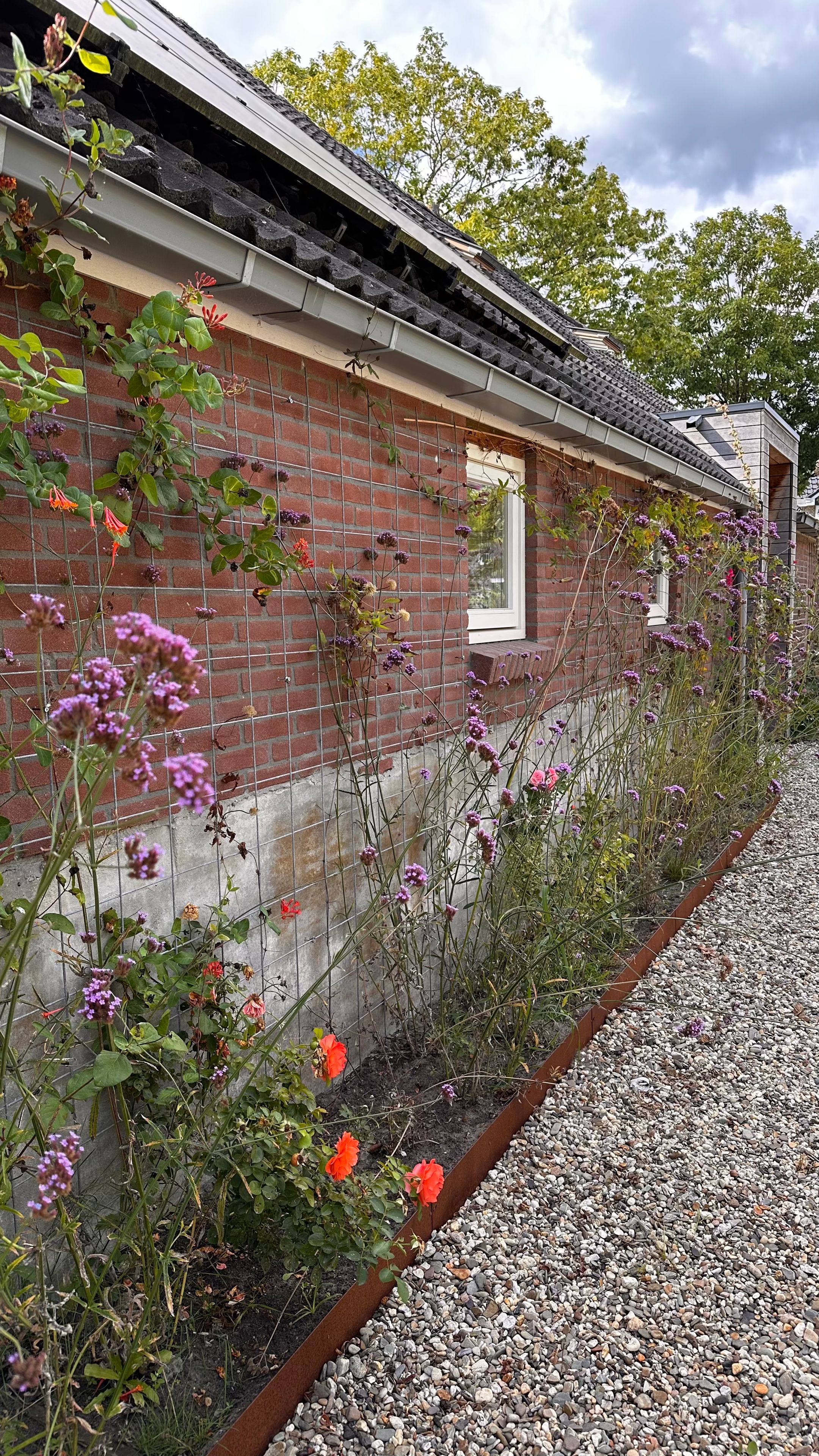 Photo 69 of Meeleweg 7