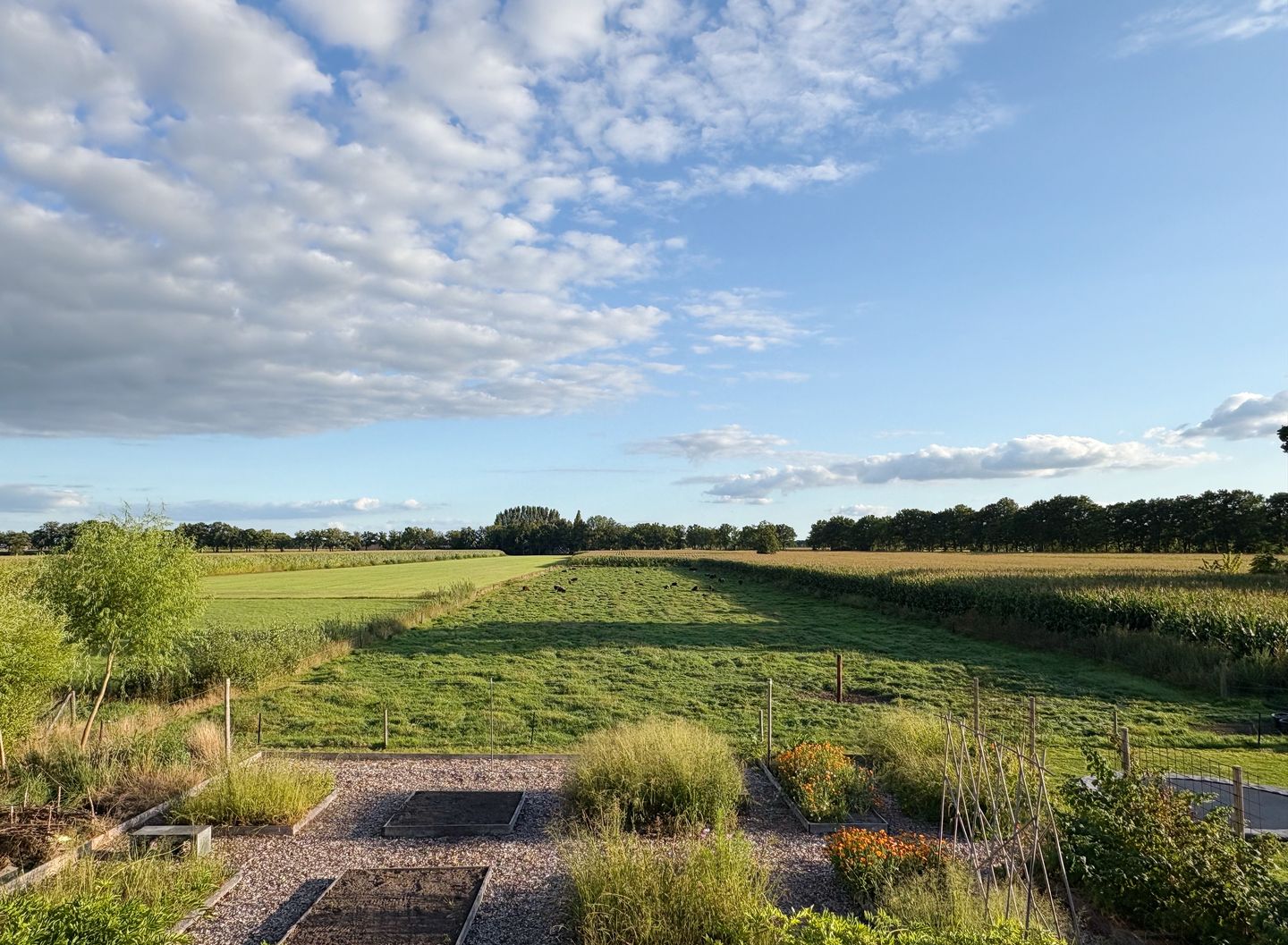 Photo 74 of Meeleweg 7