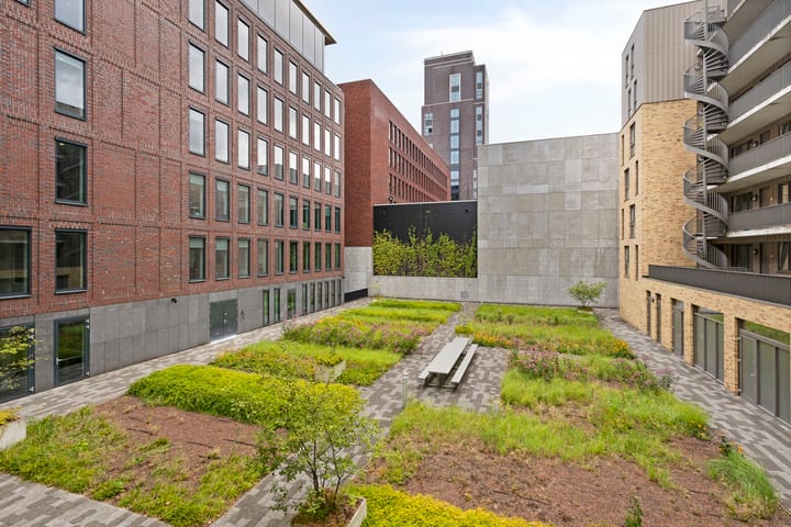 Photo 18 of Spiegeltuin 12