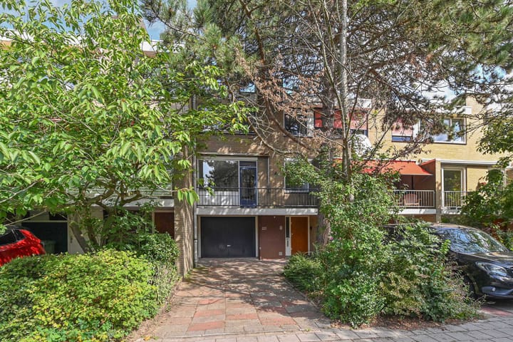 Foto 6 van Aart van der Leeuwlaan 223