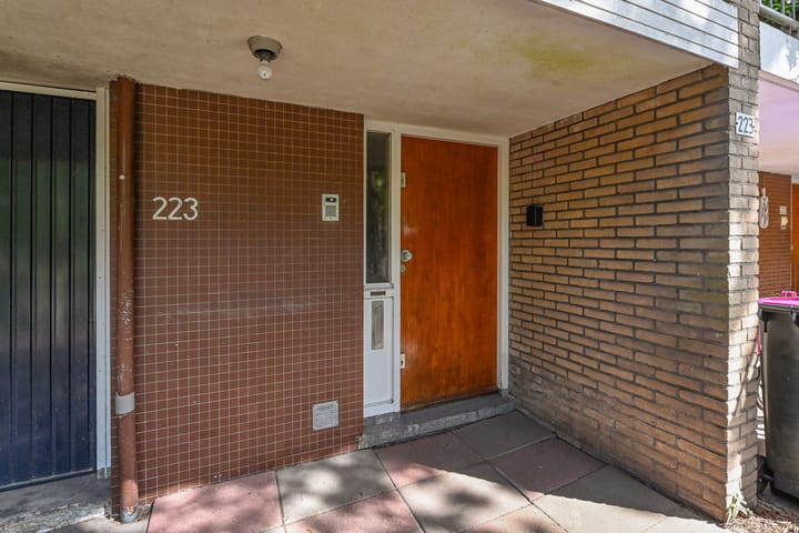 Foto 7 van Aart van der Leeuwlaan 223