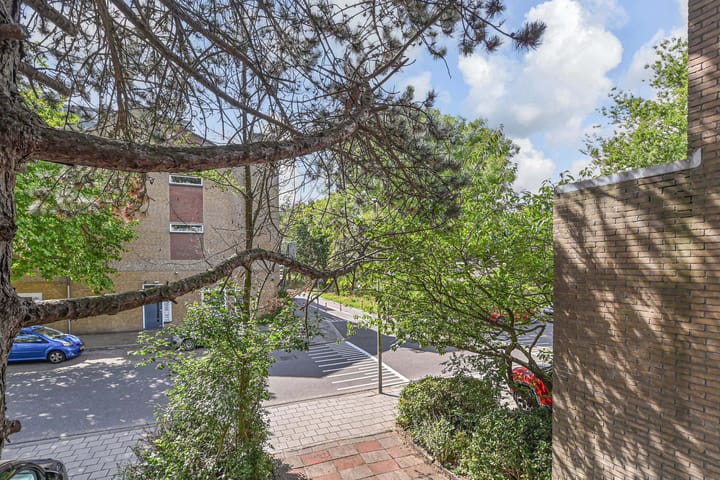 Foto 17 van Aart van der Leeuwlaan 223