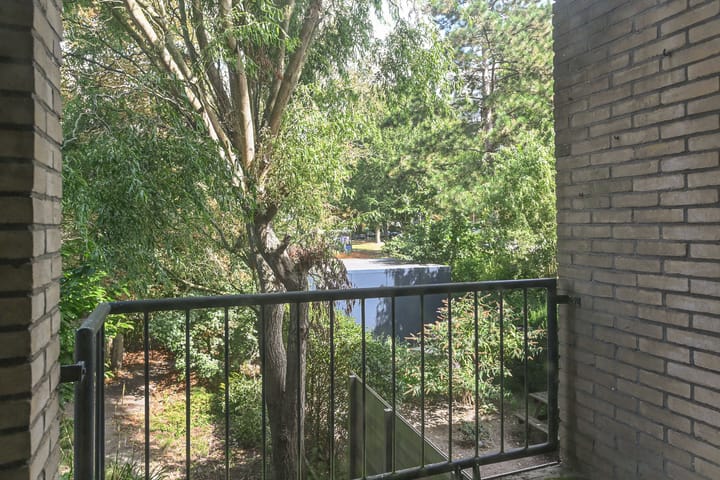 Foto 23 van Aart van der Leeuwlaan 223