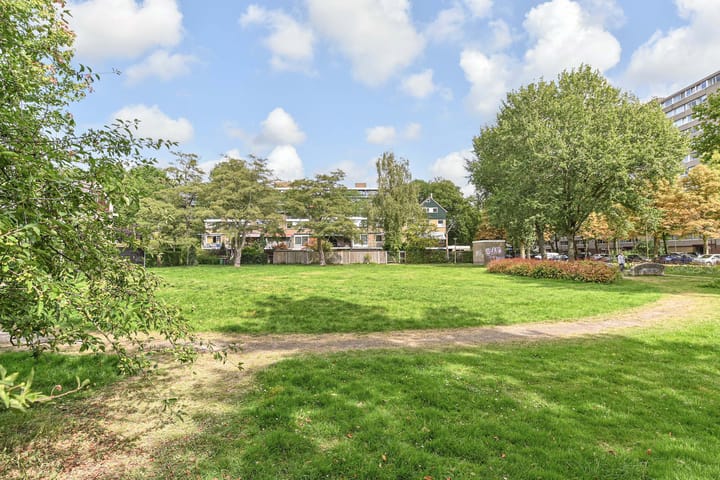 Foto 45 van Aart van der Leeuwlaan 223