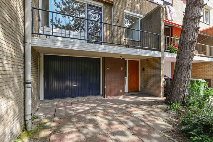 Foto 47 van Aart van der Leeuwlaan 223