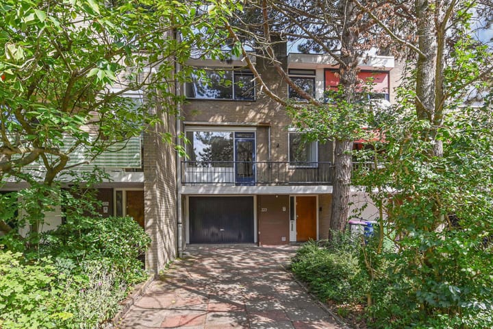 Foto 50 van Aart van der Leeuwlaan 223