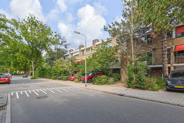 Foto 52 van Aart van der Leeuwlaan 223