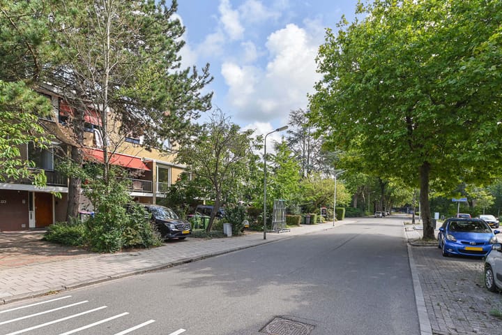 Foto 53 van Aart van der Leeuwlaan 223