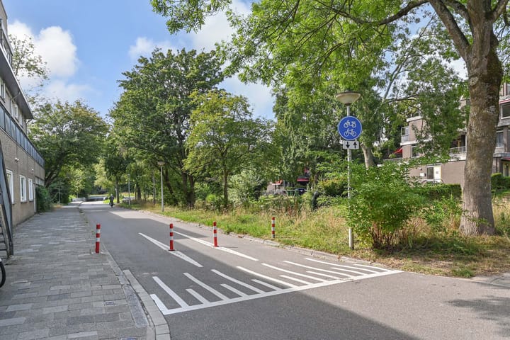 Foto 54 van Aart van der Leeuwlaan 223