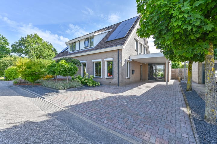 Foto 4 van Purperreiger 5