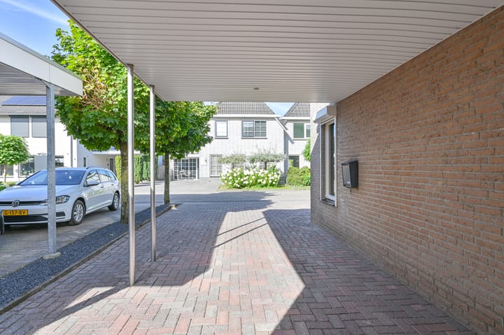 Foto 6 van Purperreiger 5