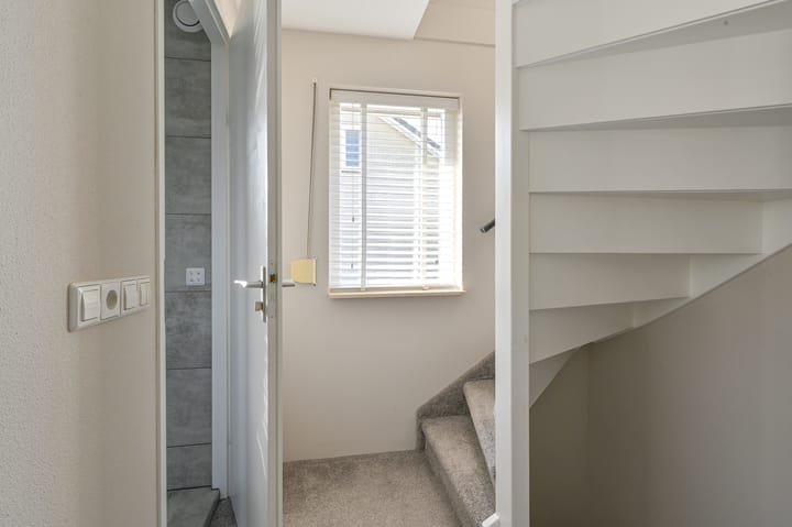 Foto 59 van Purperreiger 5