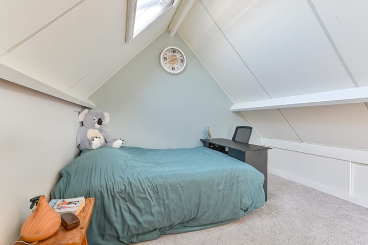 Foto 62 van Purperreiger 5