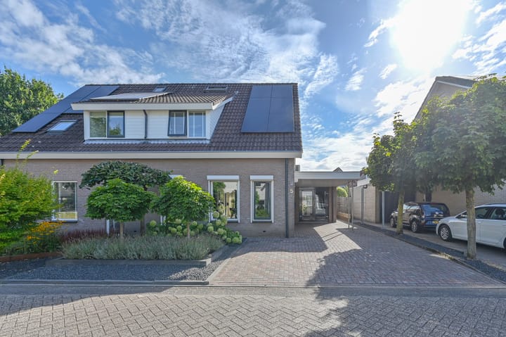 Foto 84 van Purperreiger 5