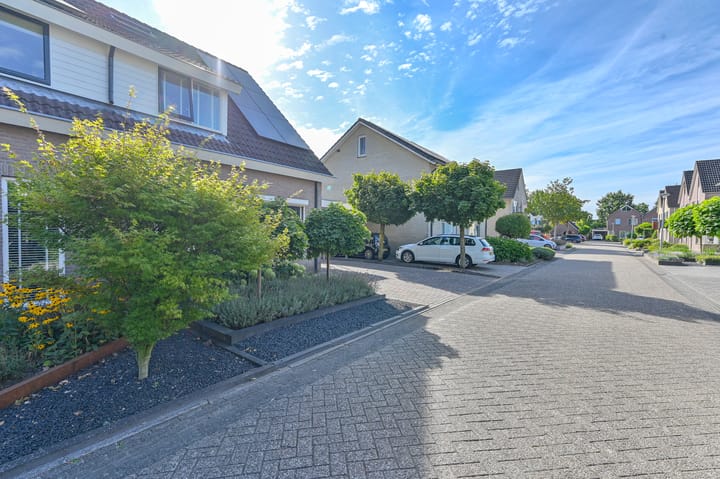 Foto 85 van Purperreiger 5