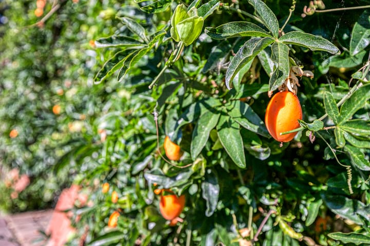 Foto 32 van Schoolstraat 12