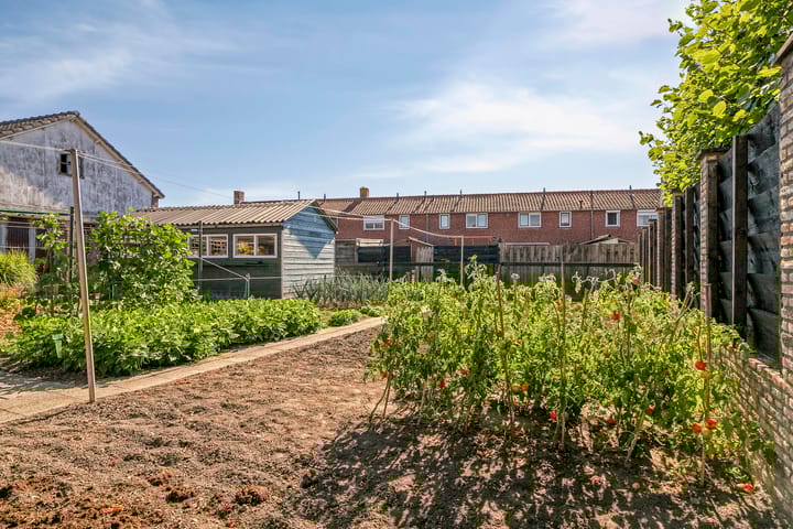 Foto 33 van Schoolstraat 12