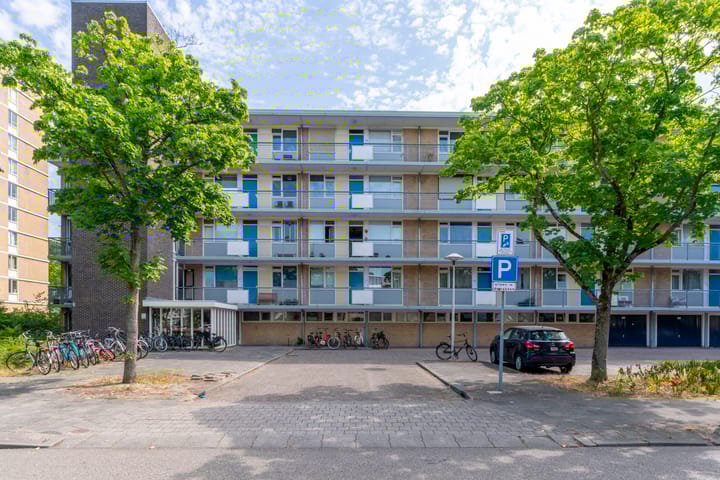 Photo 1 of Livingstonelaan 696