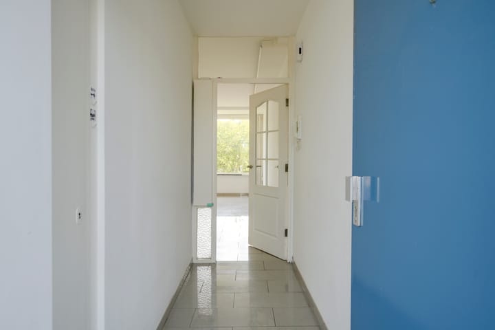 Photo 9 of Livingstonelaan 696