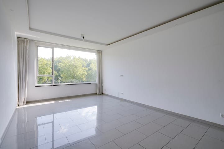 Photo 12 of Livingstonelaan 696