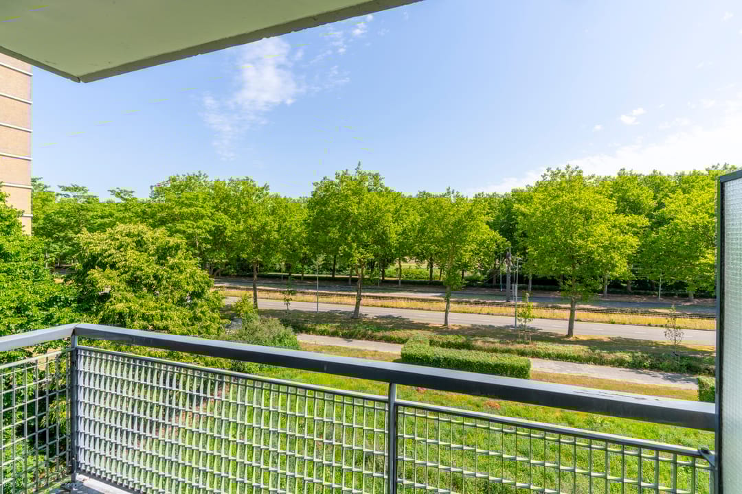 Foto 23 van Livingstonelaan 696