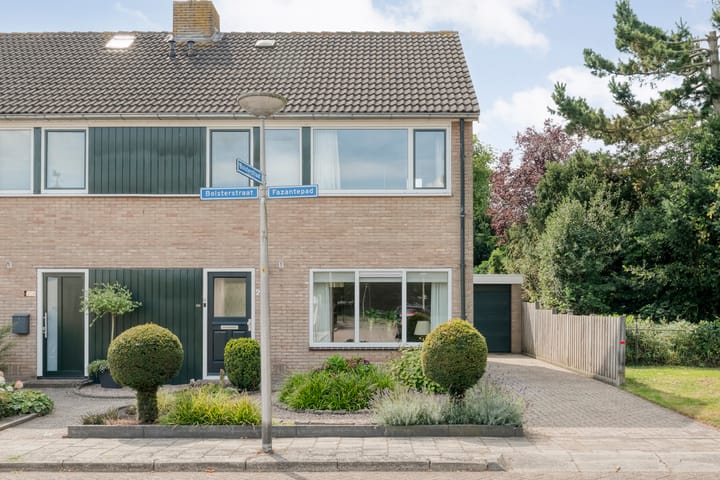 Foto 2 van Bolsterstraat 24