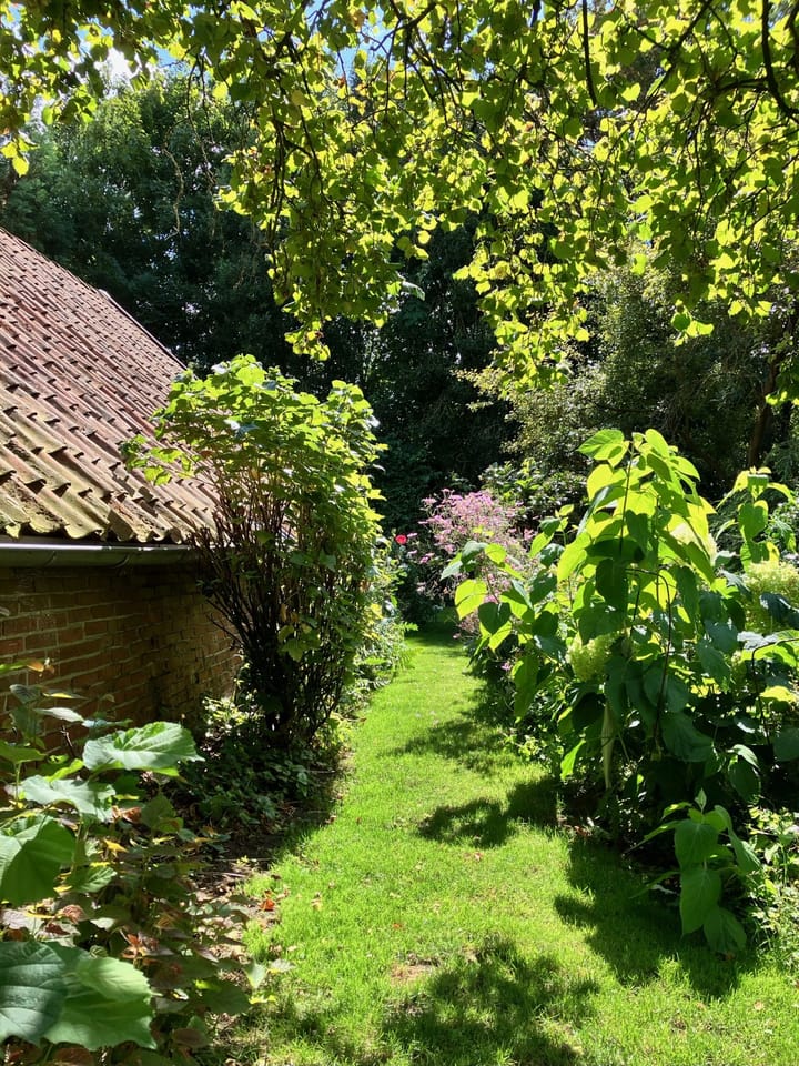 Foto 50 van Valthermussel 14