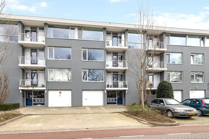 Pisanostraat 416