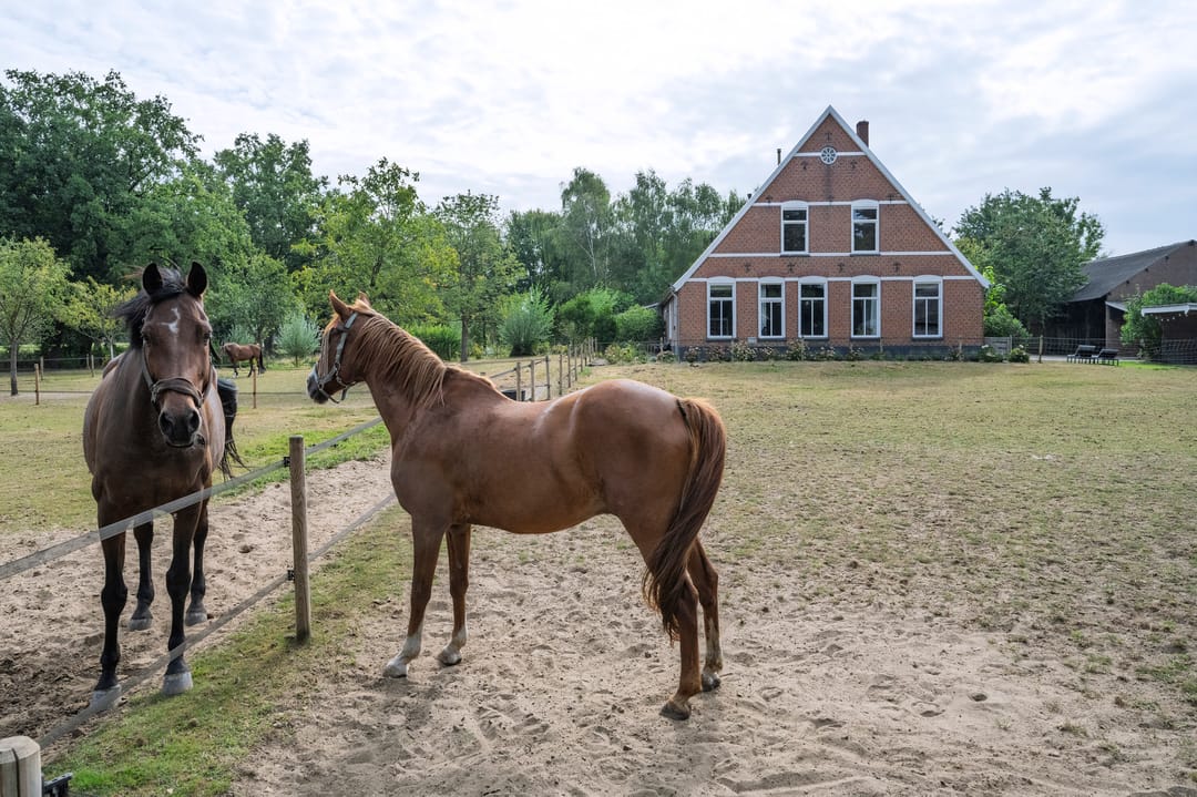 Foto 23 van Huurninkallee 1