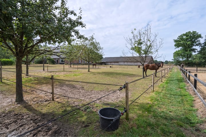 Foto 24 van Huurninkallee 1