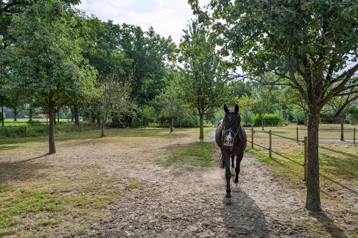 Foto 25 van Huurninkallee 1