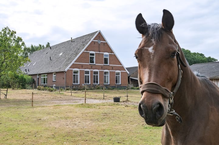 Foto 26 van Huurninkallee 1