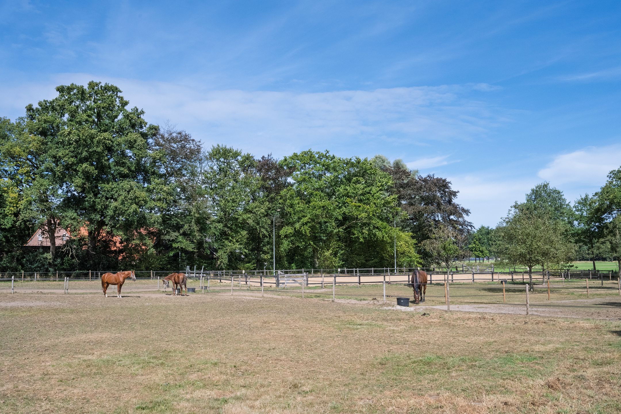 Foto 39 van Huurninkallee 1