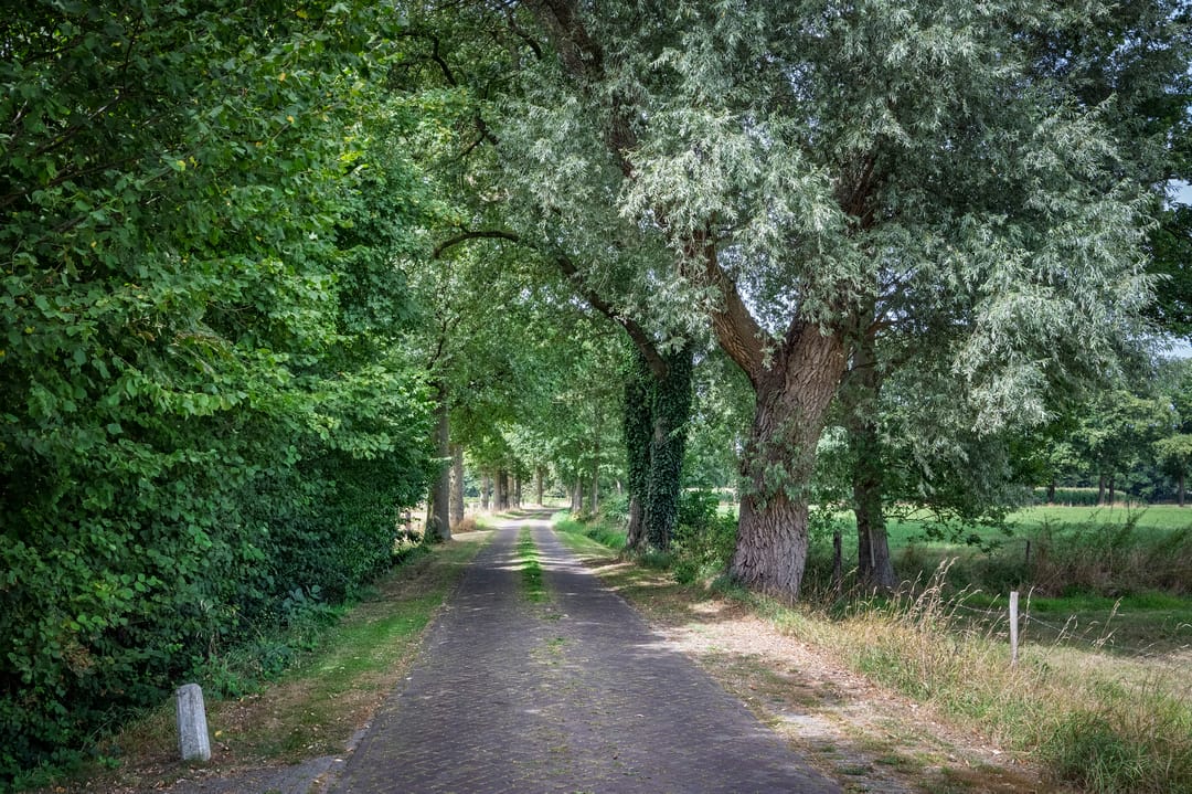 Foto 43 van Huurninkallee 1