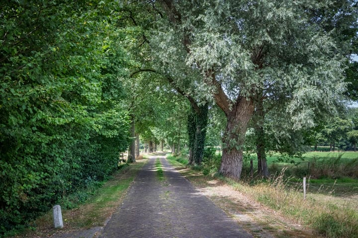 Foto 43 van Huurninkallee 1