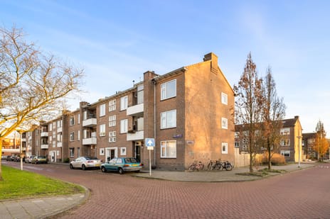 Esther de Boer-van Rijkstraat thumbnail