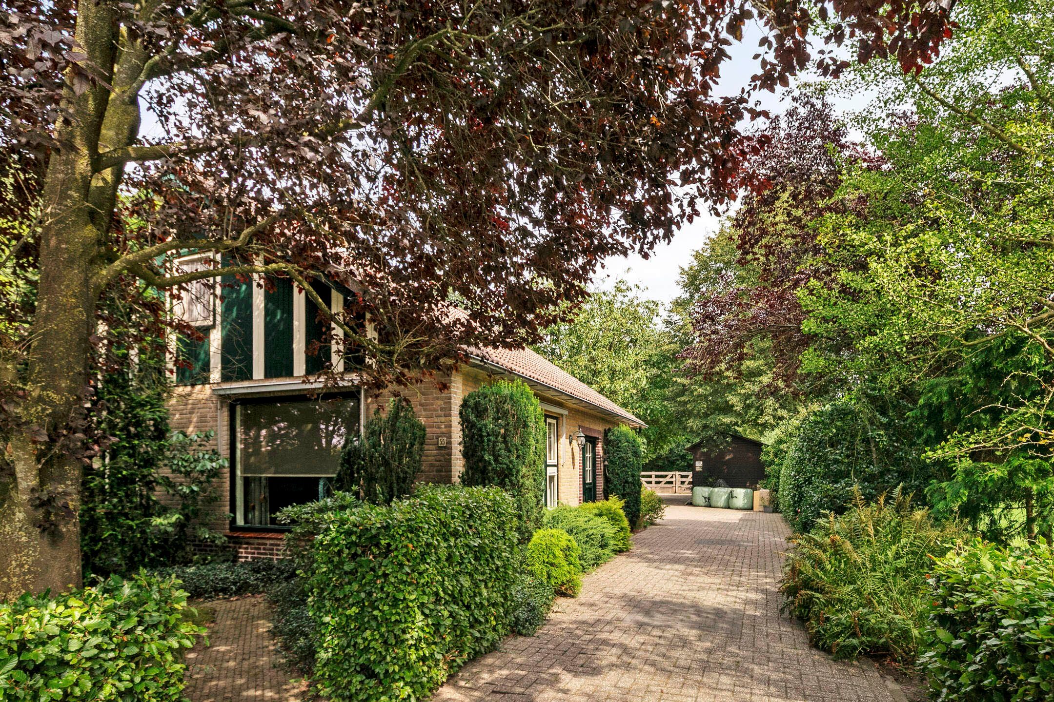 Photo 3 of Jonasweg 55