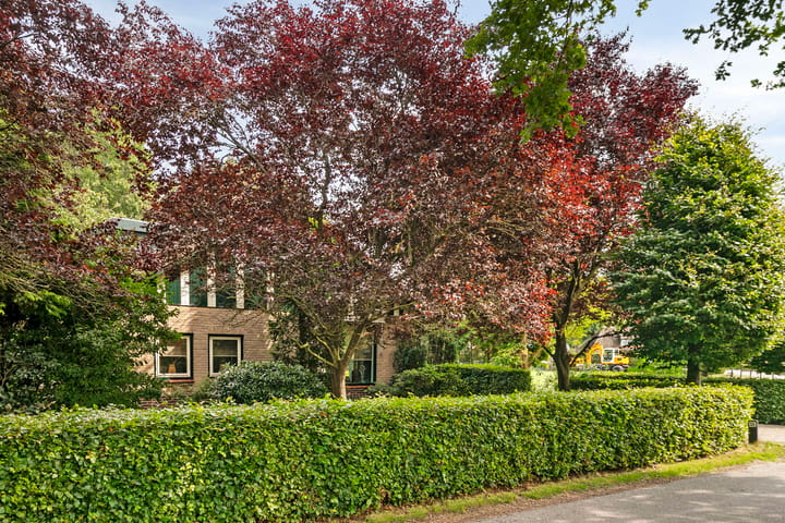 Foto 28 van Jonasweg 55