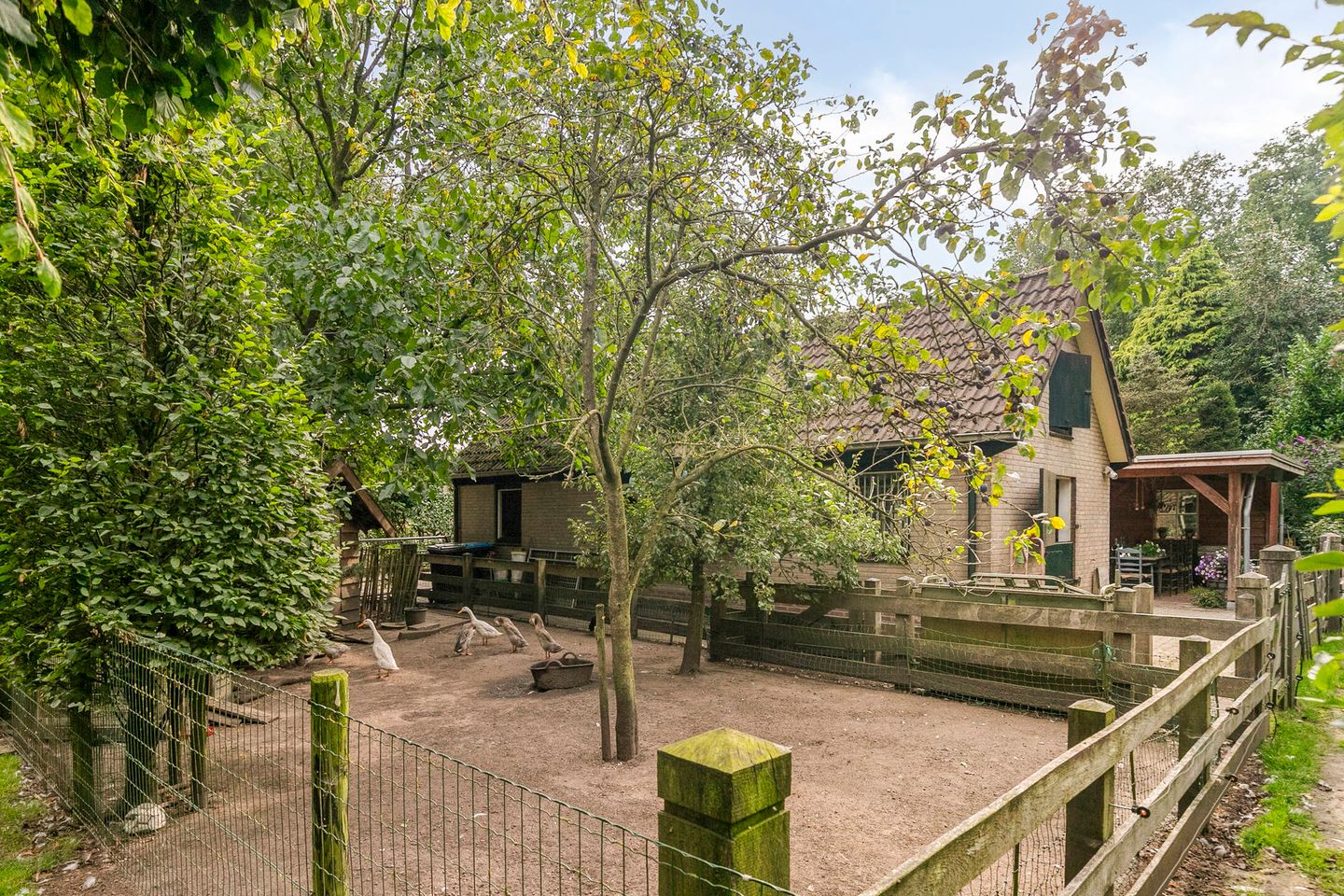 Photo 35 of Jonasweg 55