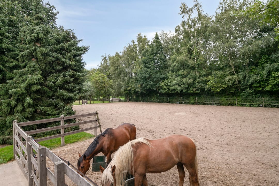 Photo 41 of Jonasweg 55