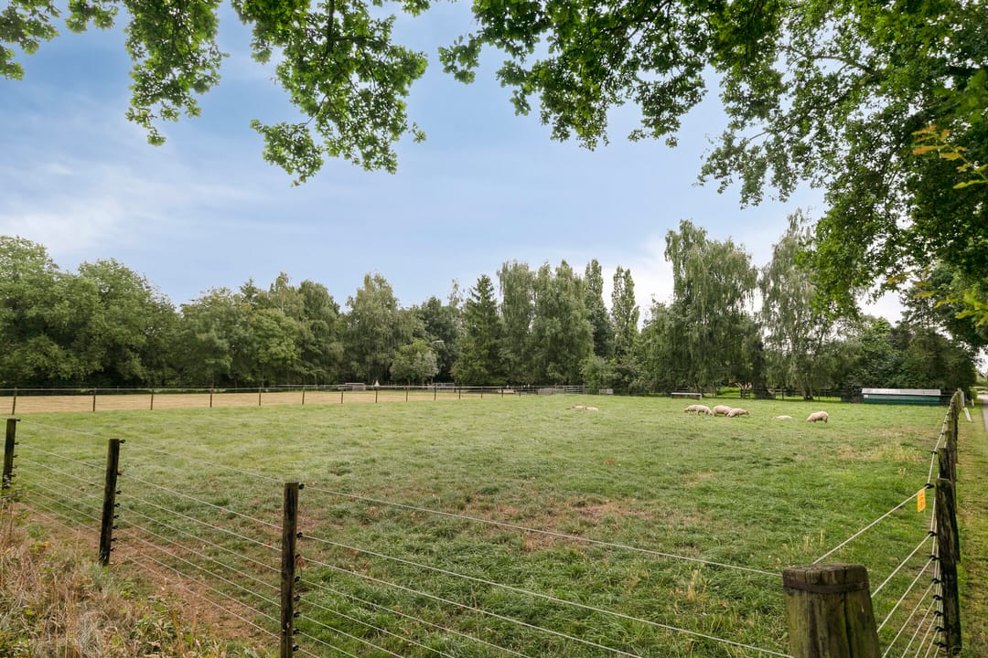 Photo 43 of Jonasweg 55