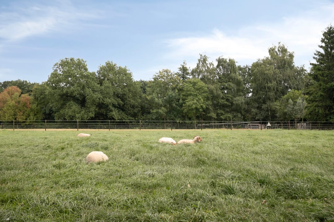 Photo 47 of Jonasweg 55