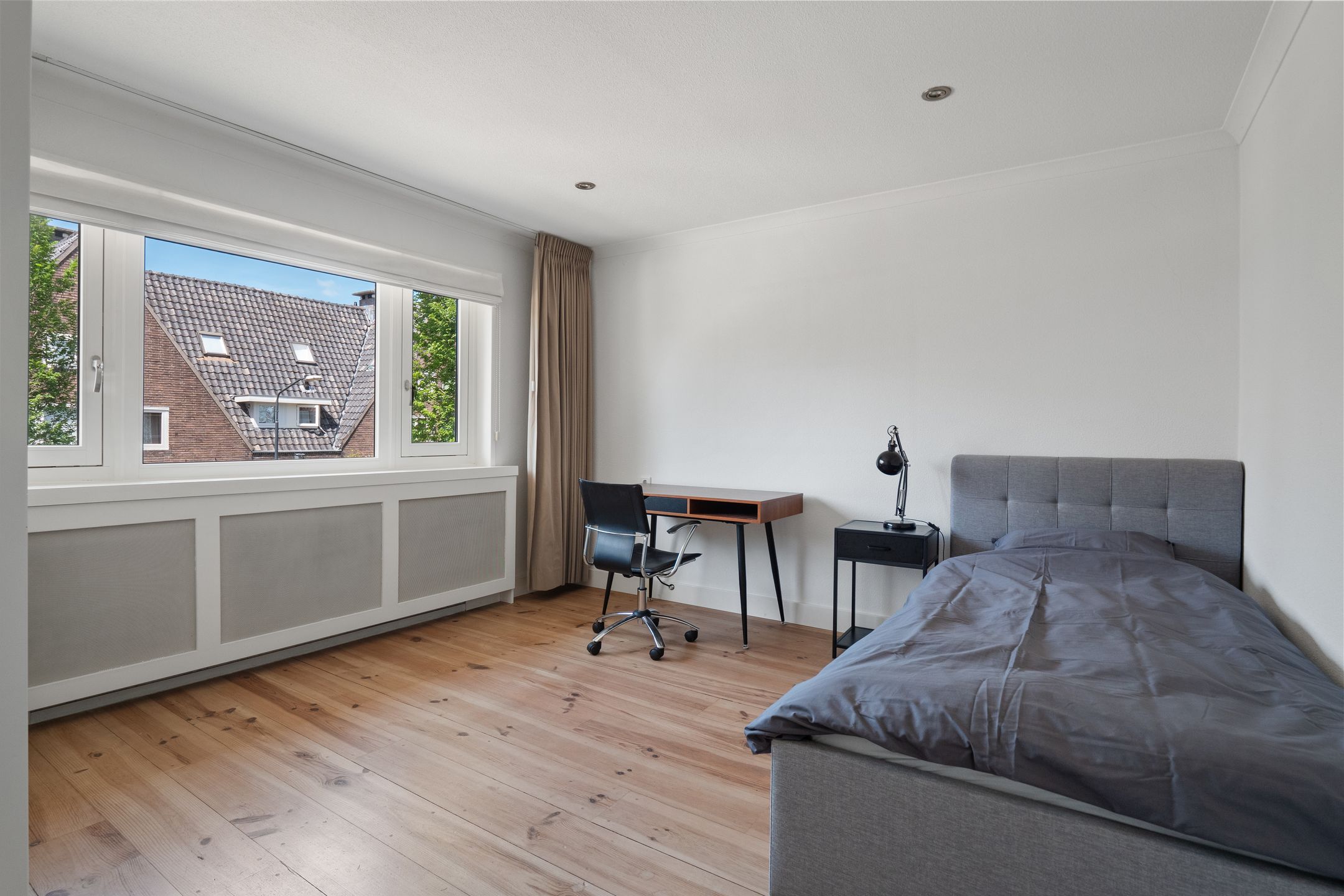 Photo 21 of Theresialaan 89