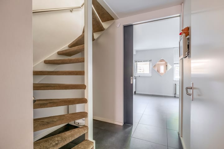 Foto 7 van Wengéhout 22